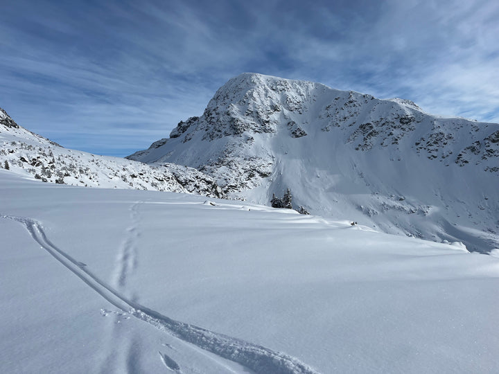 Backcountry Accessories - Winter