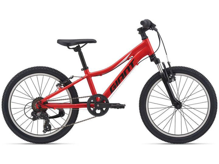 Giant Bicycles Youth Bike