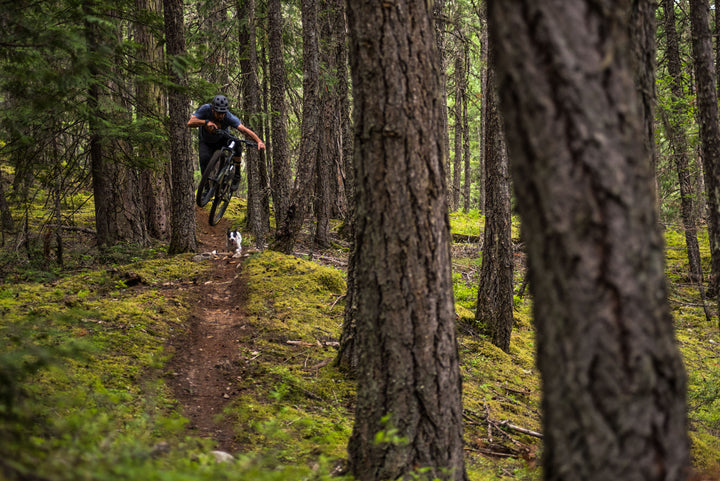 Mossy forest Whistler mountain biking 